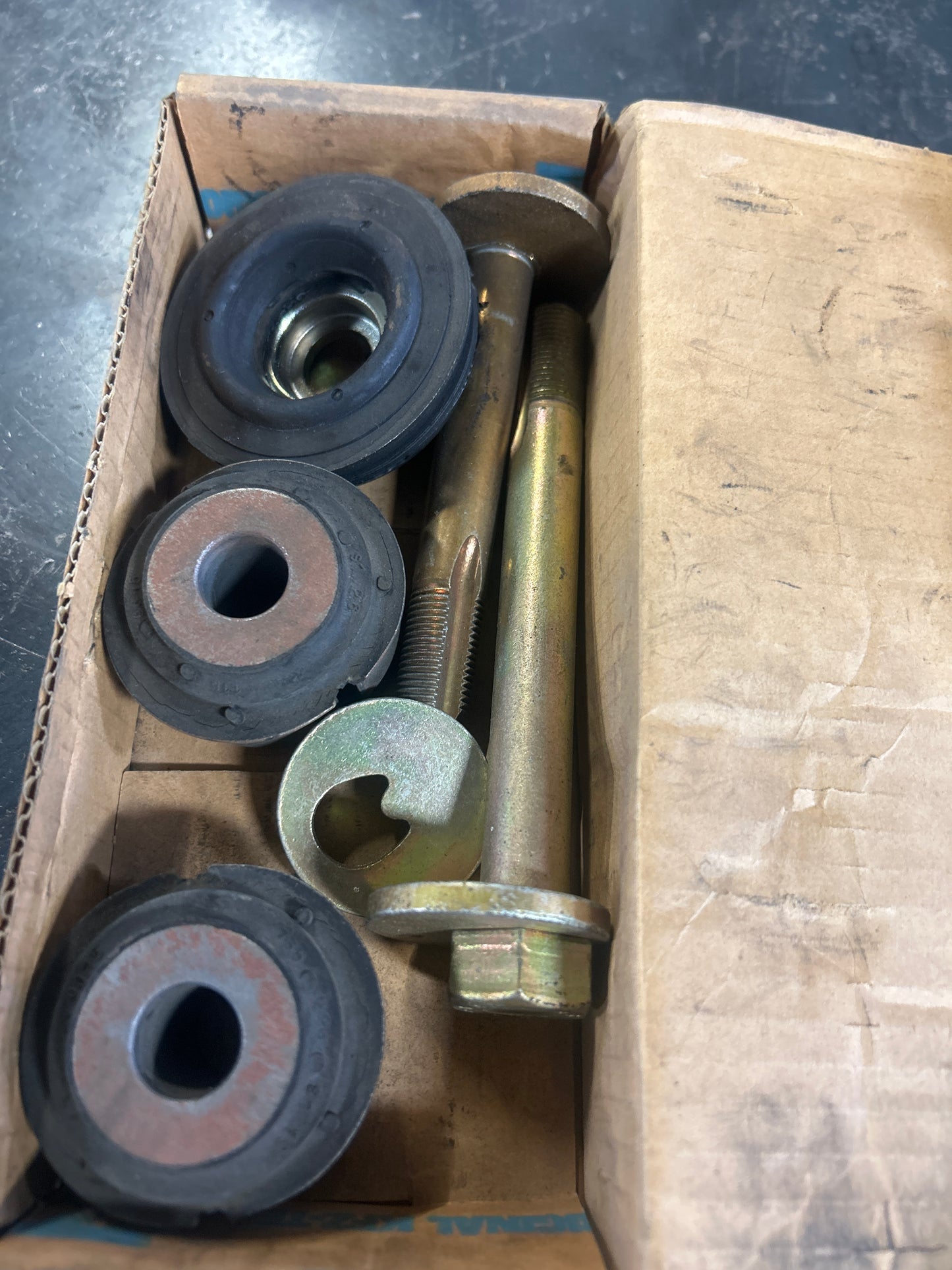 Camber adjustment bolts